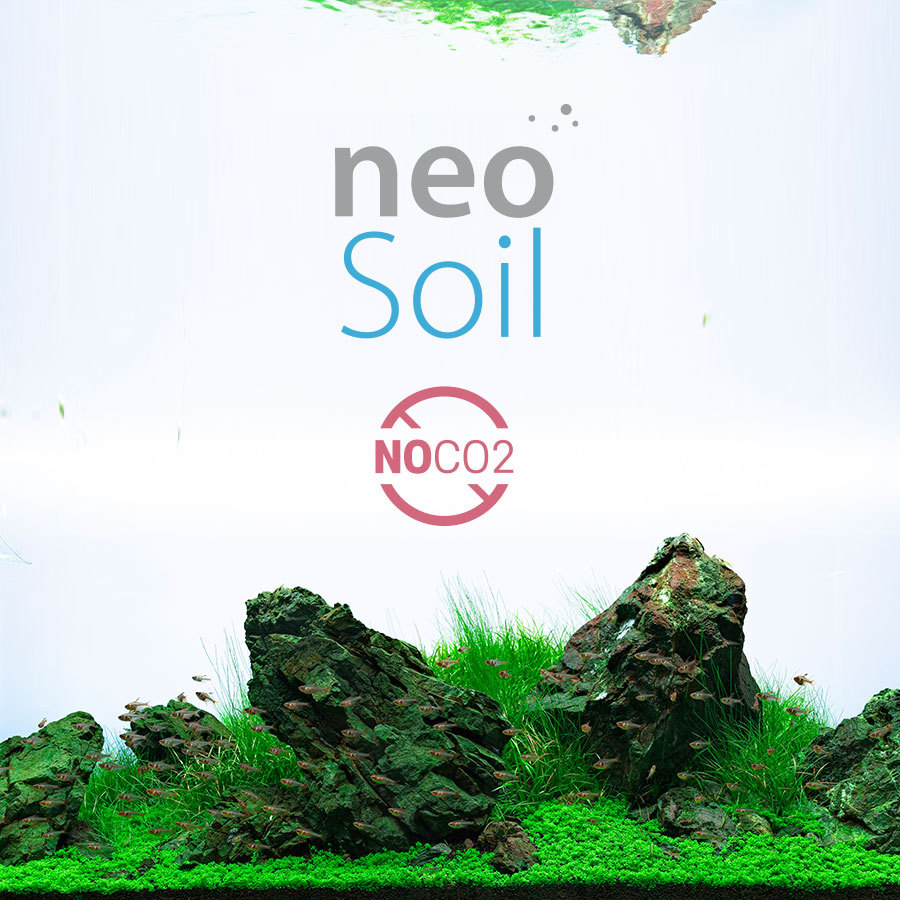 neoSoilnoco2